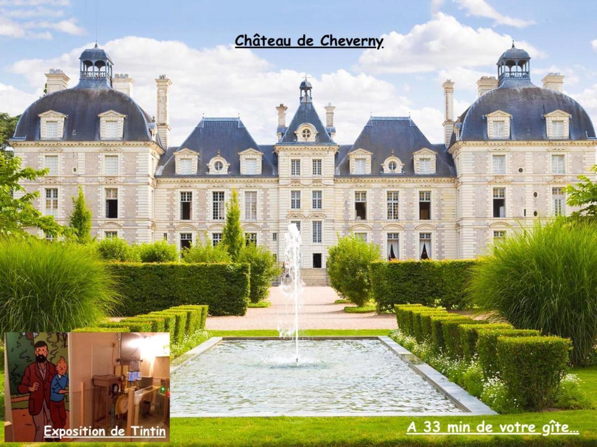 La Porte Aux Dames Romorantin-Lanthenay Bagian luar foto
